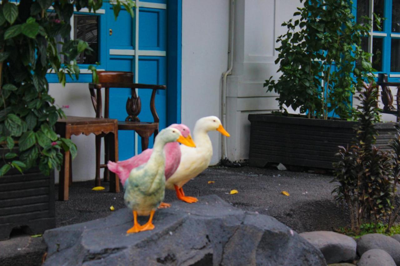 Hotel Merdeka Kediri Kediri  Extérieur photo